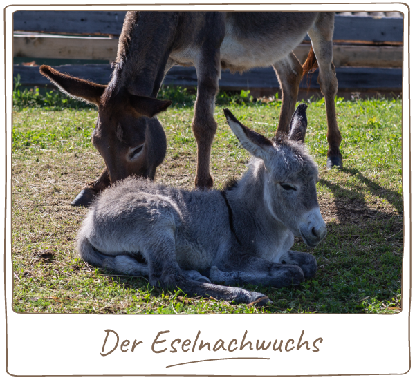 Bekanntschaft anrufen